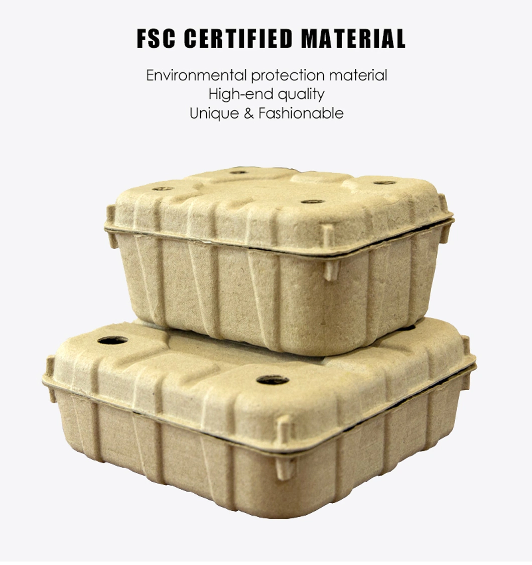 Biodegradable &amp; Eco-Friendly Fruitlet Paper Pulp Packaging Box High Quality Fruit Packaging