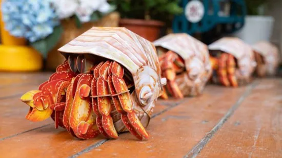 Hermit Crab
