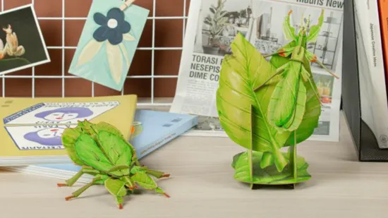 Leaf Insect