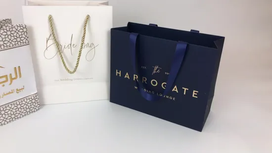 Custom High Quality Cosmetic Paper Printing Shopping Gift Bag