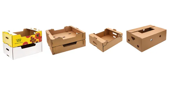 Printed Corrugated Cardboard Paper Cherry Avocado Pineapple Tomato Orange Apple Lemon Mango Banana Fruit Vegetable Packing Packaging Shipping Tray Carton Box 